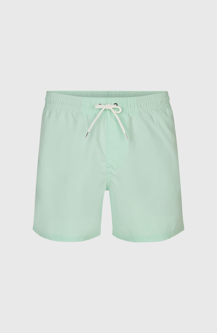 O'Neill 15" Badehose | Mildrew Mint