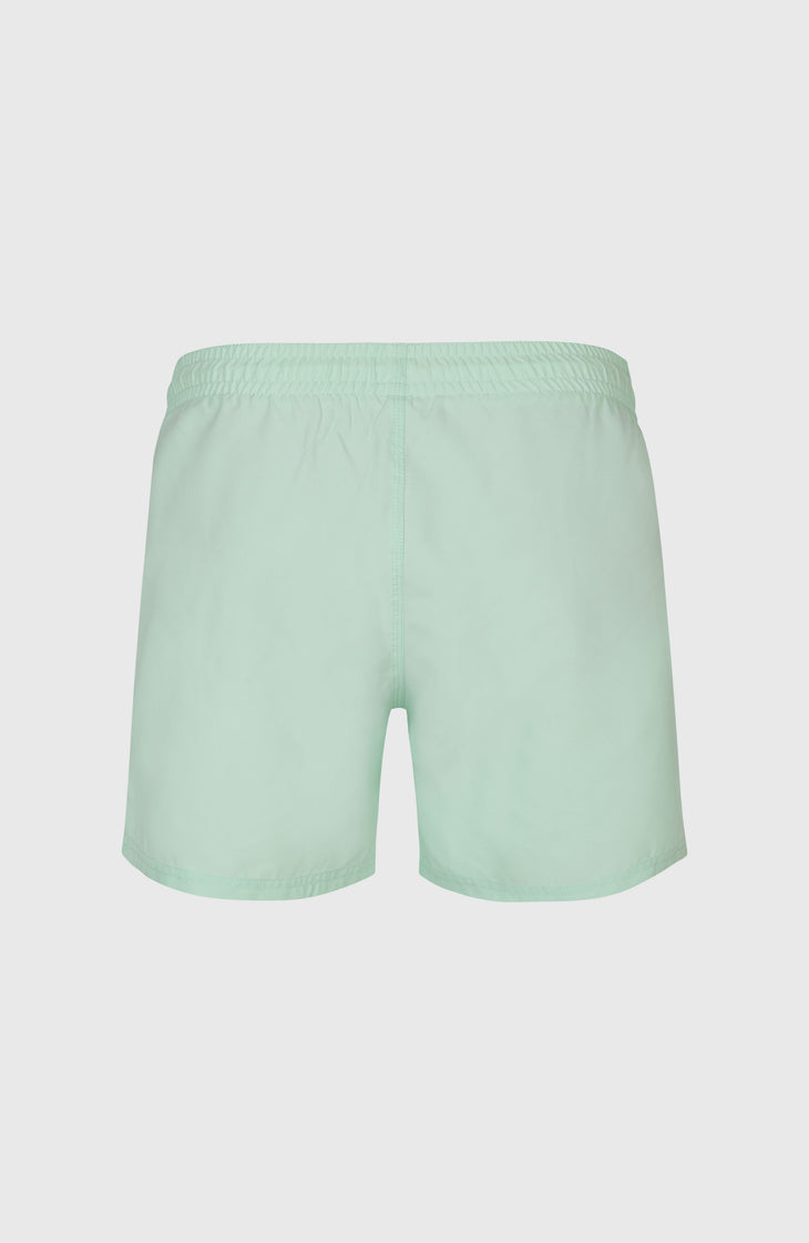 O'Neill 15" Badehose | Mildrew Mint
