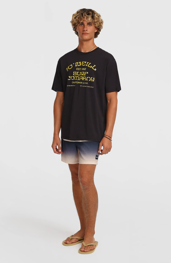 O'Neill Gradient 15" Badehose | Black Out Gradient Stripe