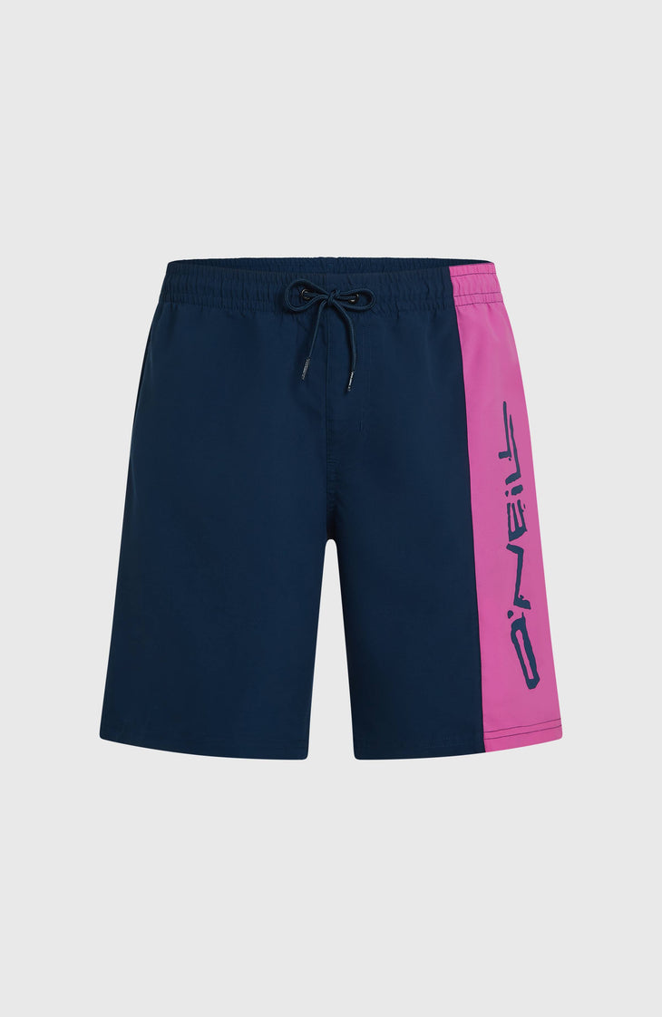 O'Neill Retro 19'' Badehose | English Evening Colour Block