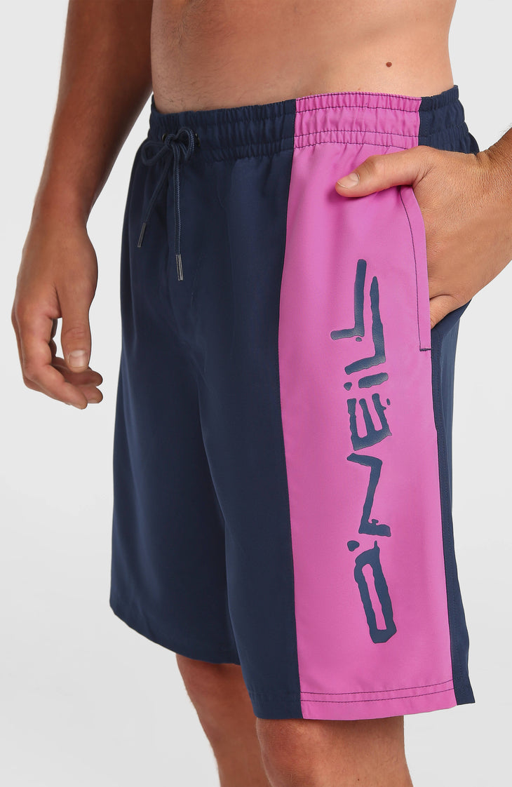 O'Neill Retro 19'' Badehose | English Evening Colour Block