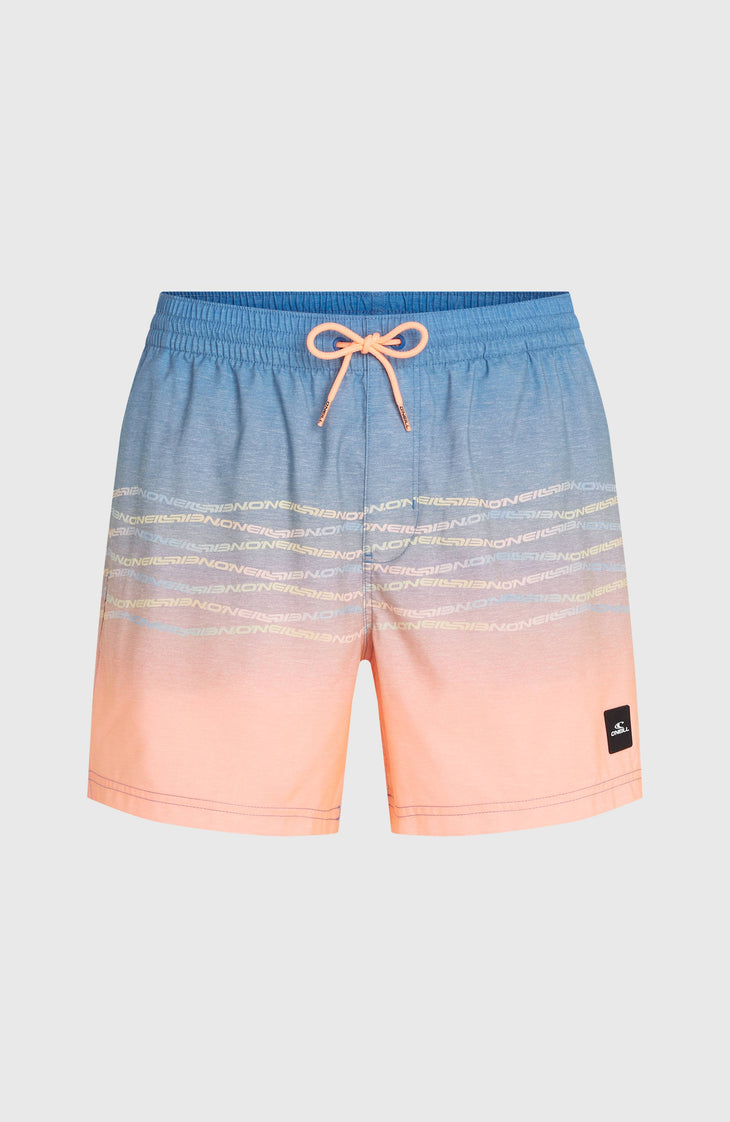 O'Neill First 15'' Badehose | Blue Heritage O'Neill Flip