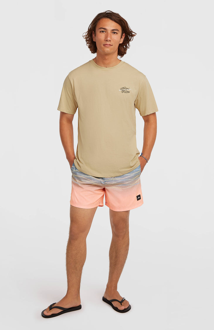 O'Neill First 15'' Badehose | Blue Heritage O'Neill Flip