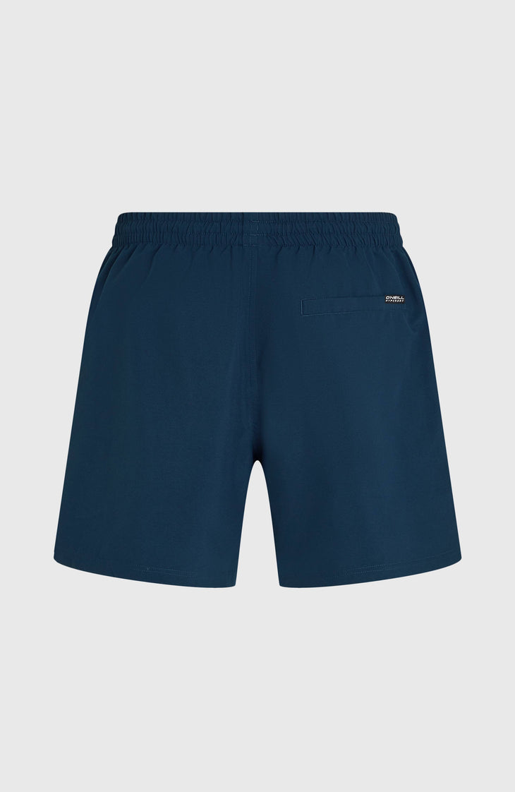 O'Neill Logo 16'' Badehose | English Evening