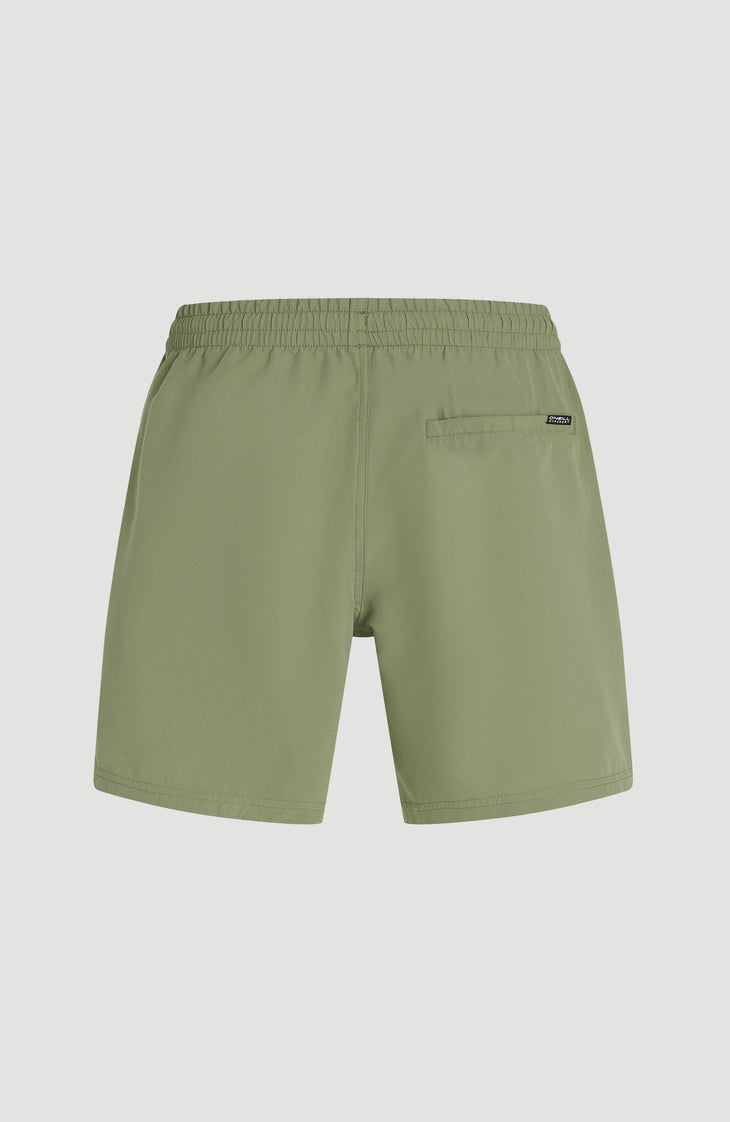 O'Neill Logo 16'' Badehose | Avery Fern