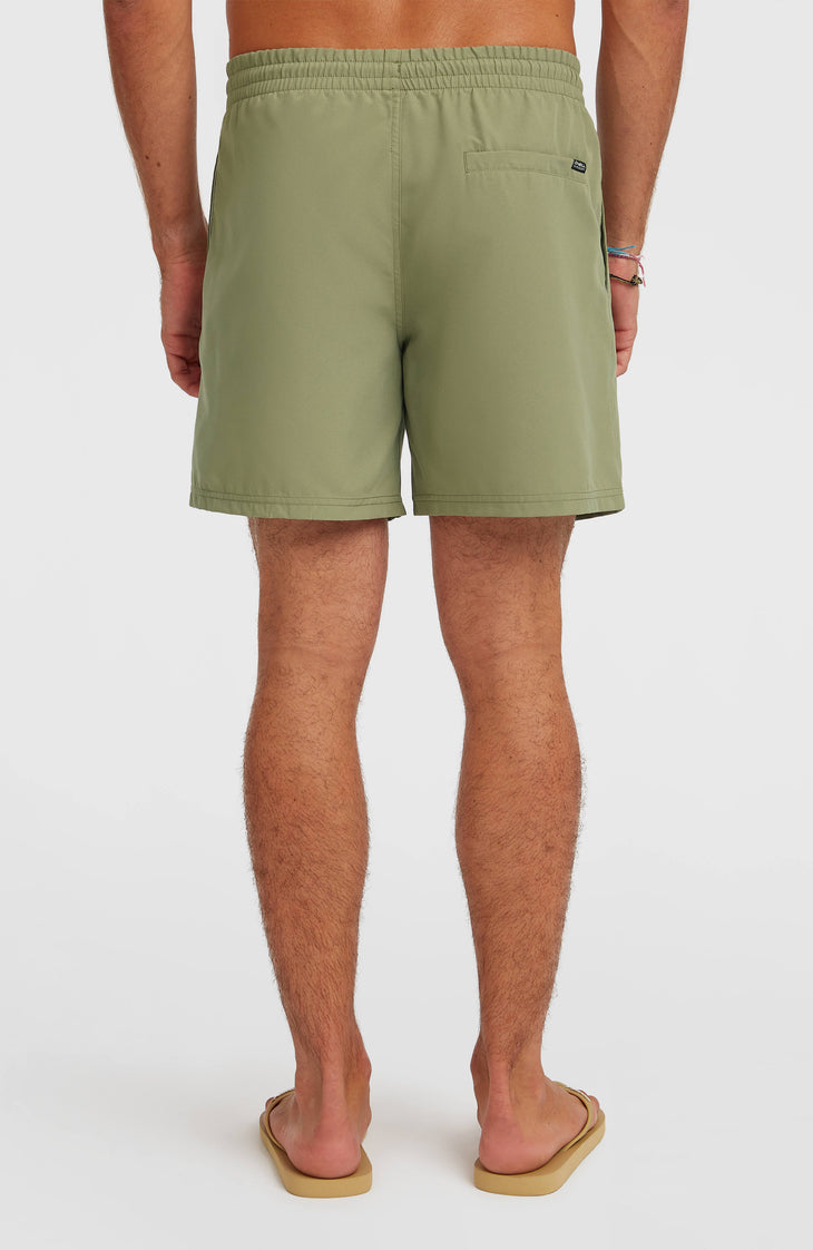 O'Neill Logo 16'' Badehose | Avery Fern