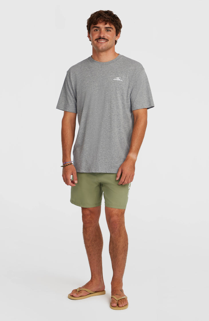 O'Neill Logo 16'' Badehose | Avery Fern