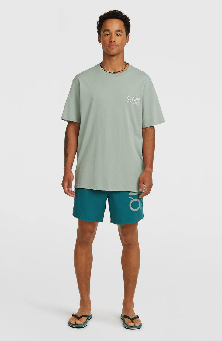 O'Neill Cali 16'' Badehose | Botanical Heat