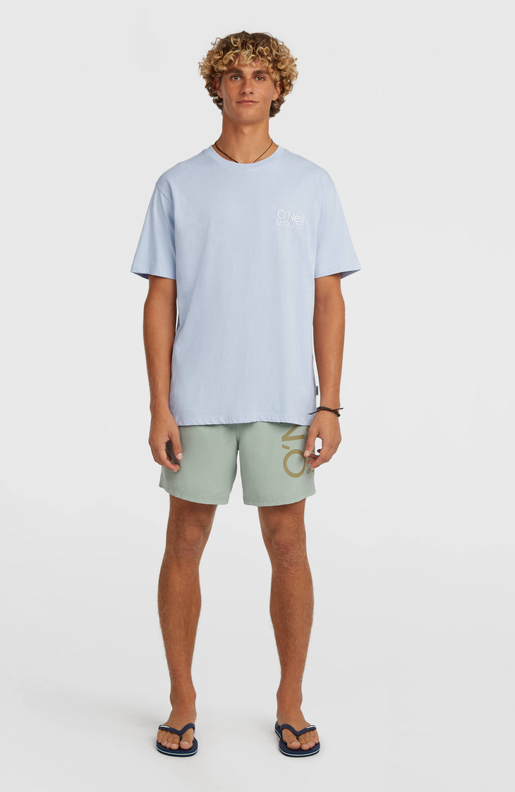 O'Neill Cali 16'' Badehose | Marble Arch