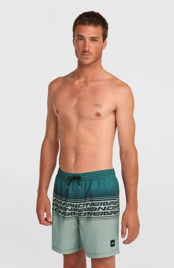 Logo Stipe 16'' Badehose | Green Heritage Stripe