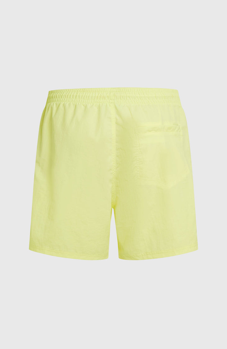 O'Neill Vert 16" Badehose | Rainforest Dew