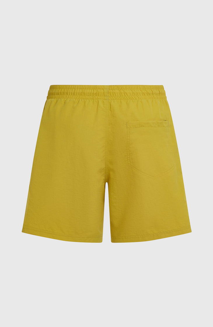 O'Neill Vert 16" Badehose | Angel Fern