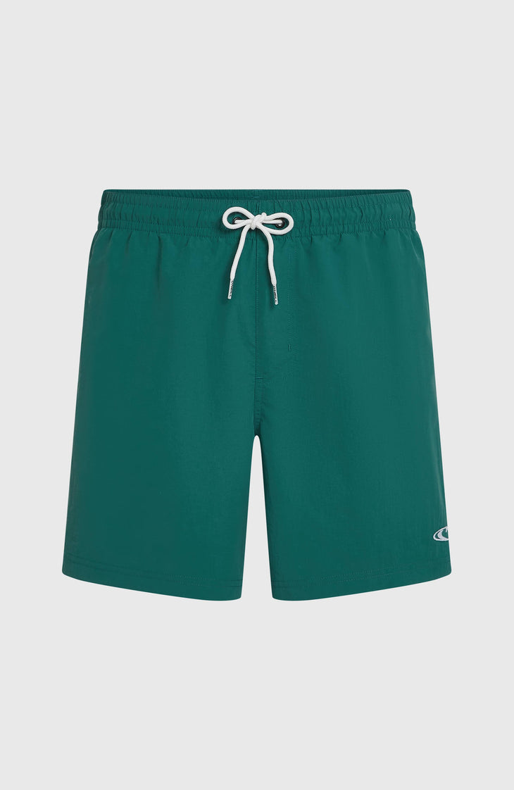 O'Neill Vert 16" Badehose | Botanical Heat
