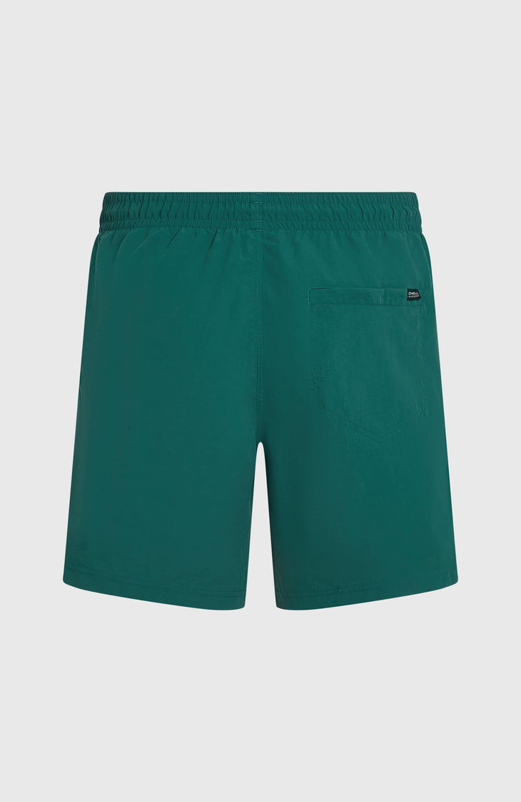 O'Neill Vert 16" Badehose | Botanical Heat