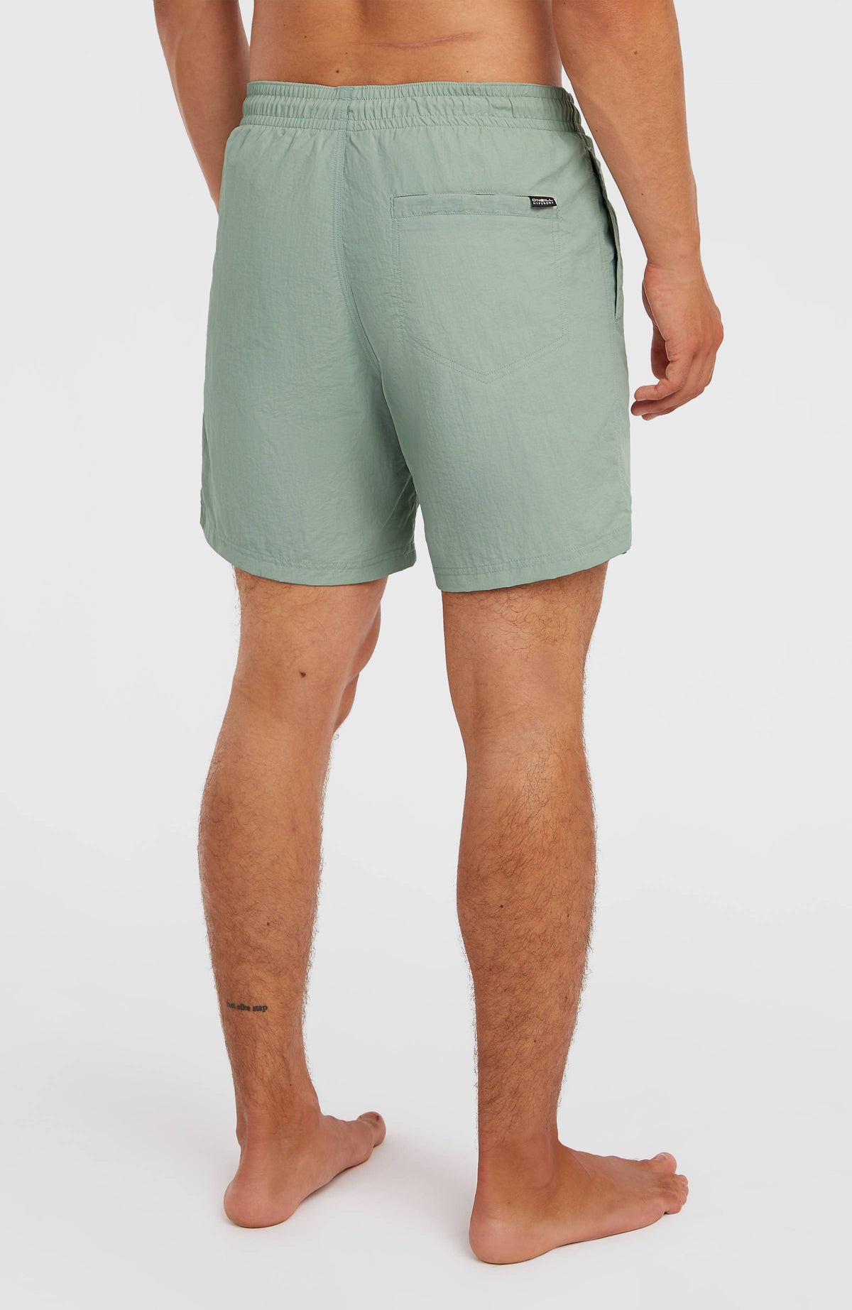 Vert 16'' Badehose für Herren, grün, Rückansicht am Model, aufgesetzte Gesäßtasche mit kleinem Logo-Label