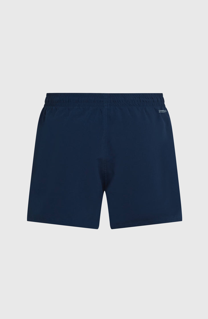 O'NEILL SUNNY BEACH 14" SWIMSHORT | English Evening