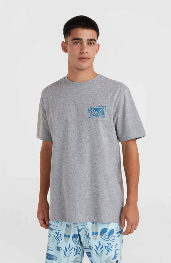 O'Neill Beach Graphic T-Shirt | Silver Melee