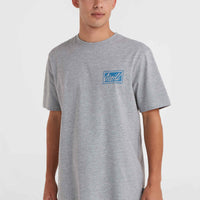 O'Neill Beach Graphic T-Shirt | Silver Melee