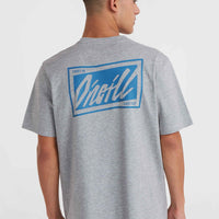 O'Neill Beach Graphic T-Shirt | Silver Melee