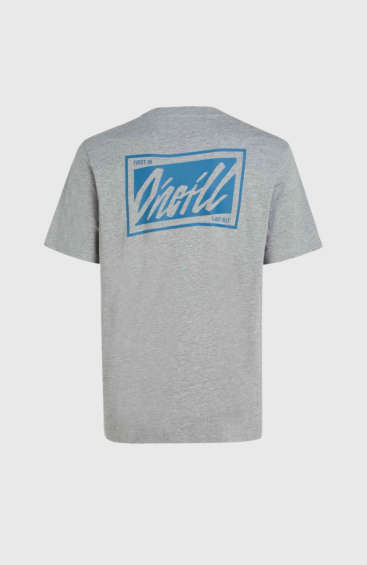 O'Neill Beach Graphic T-Shirt | Silver Melee