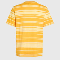 Mix and Match Stripe T-Shirt | Yellow Bold Stripes