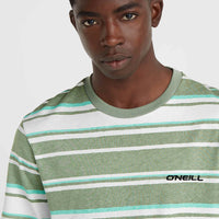 Mix and Match Stripe T-Shirt | Green Bold Stripes