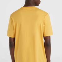 O'Neill Small Logo T-Shirt | Golden Haze