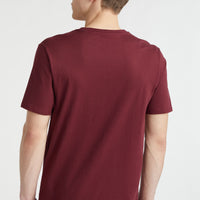 O'Neill T-Shirt mit kleinem Logo | Windsor Wine