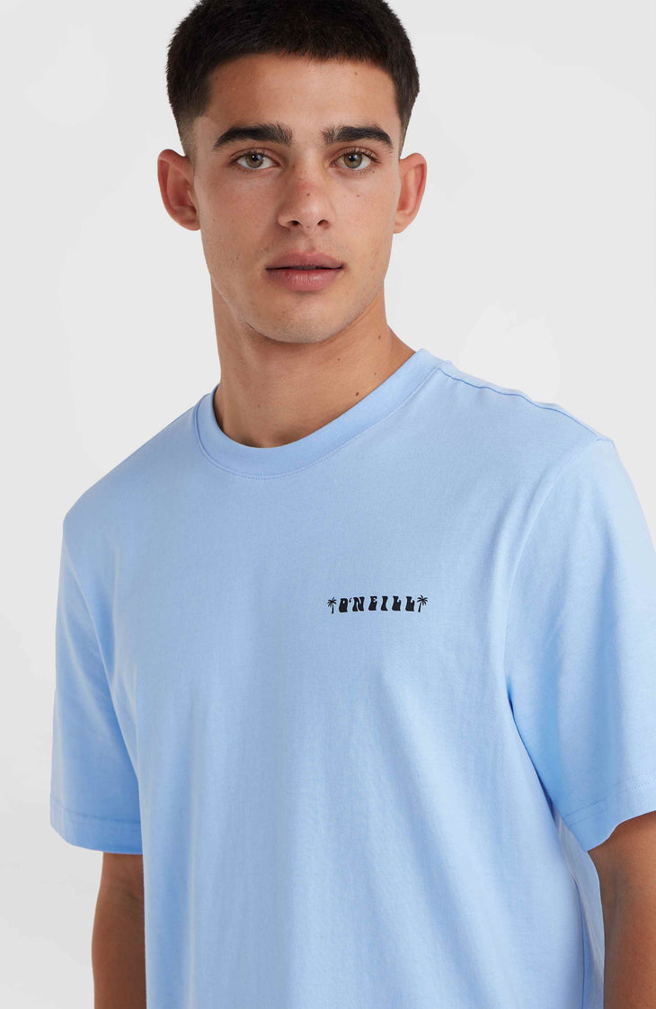 O'Neill Beach Graphic T-Shirt | Melody Blue