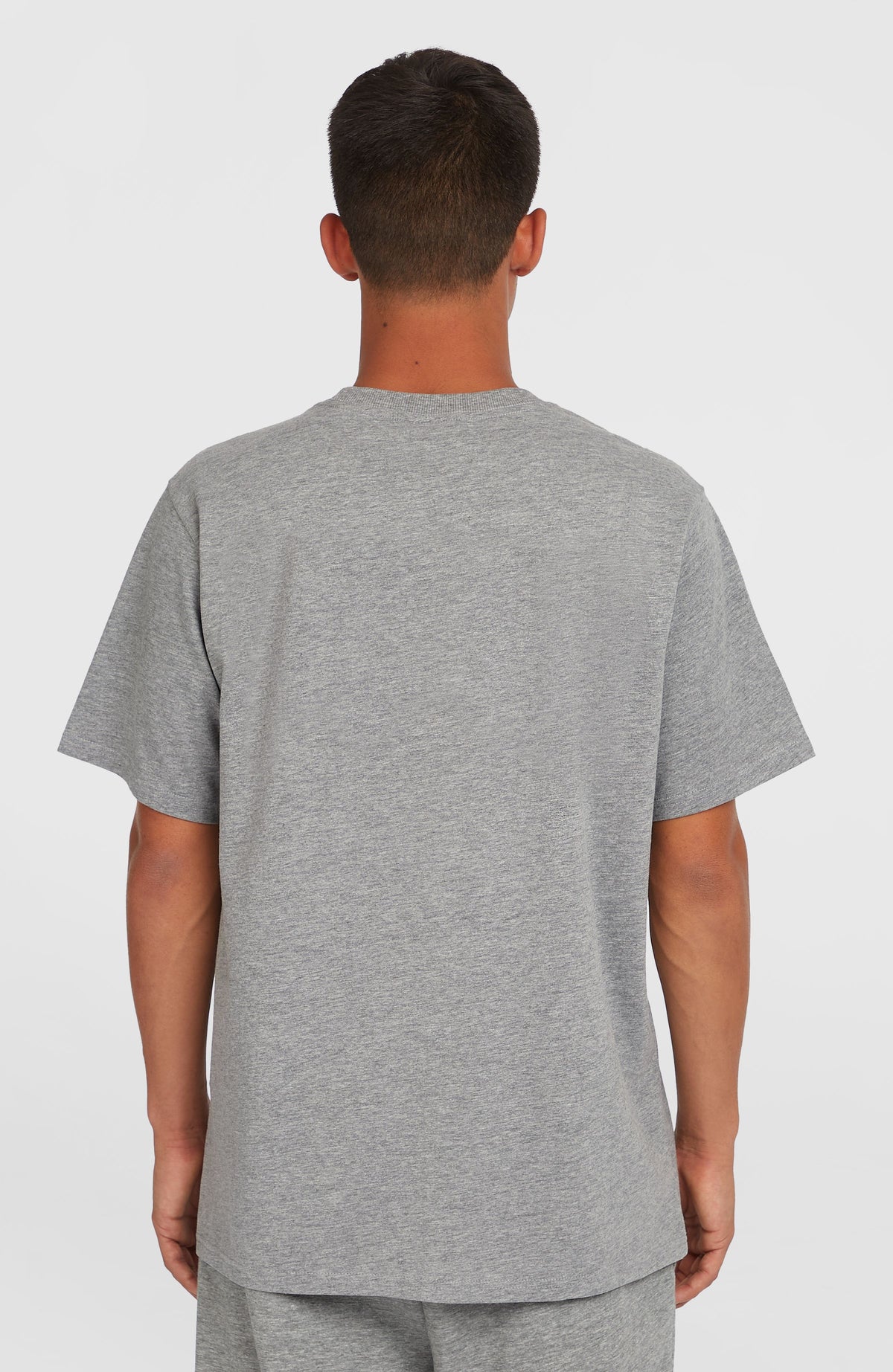 Future Surf Society T-Shirt für Herren, grau, unbedruckte Rückansicht am Model