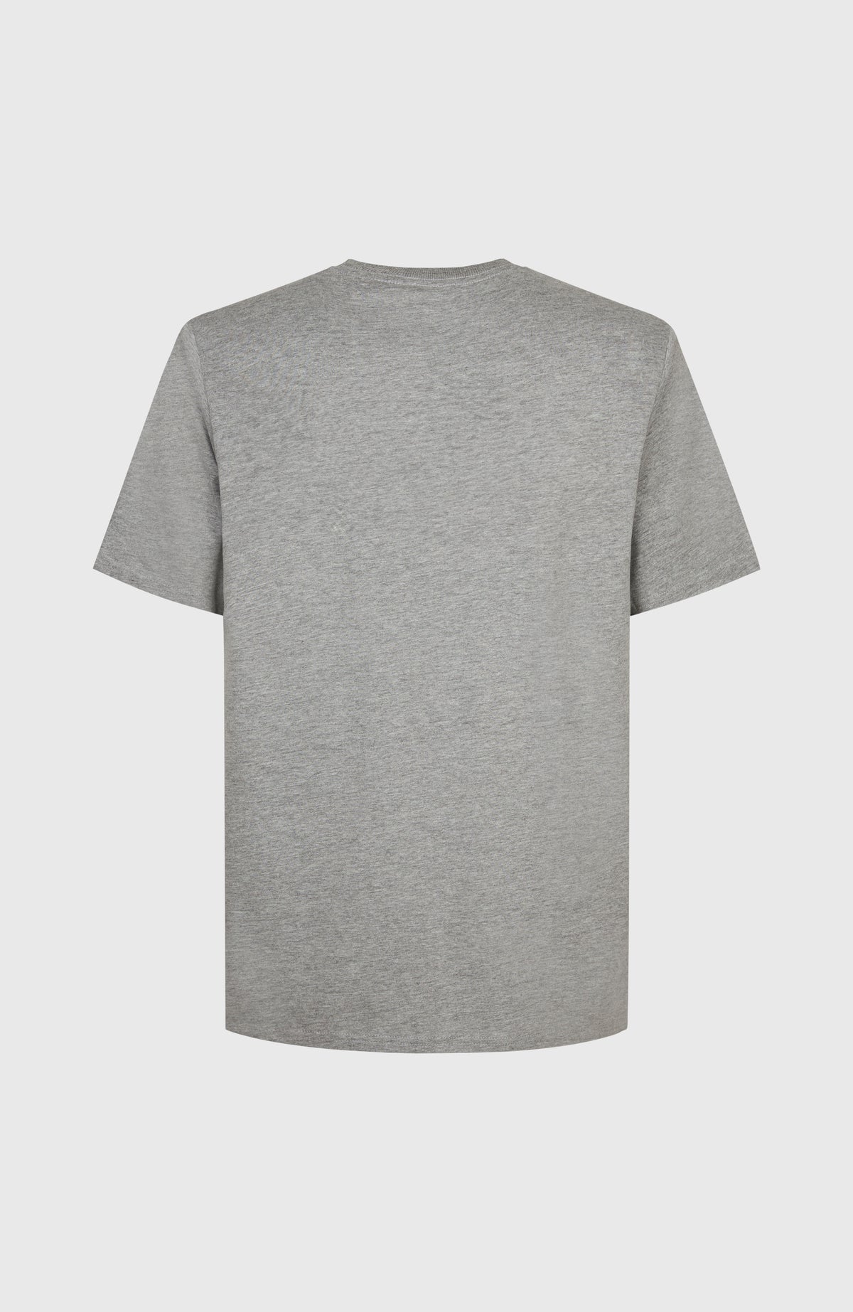 Graues Future Surf Society T-Shirt für Herren, flach liegend von hinten ohne Print