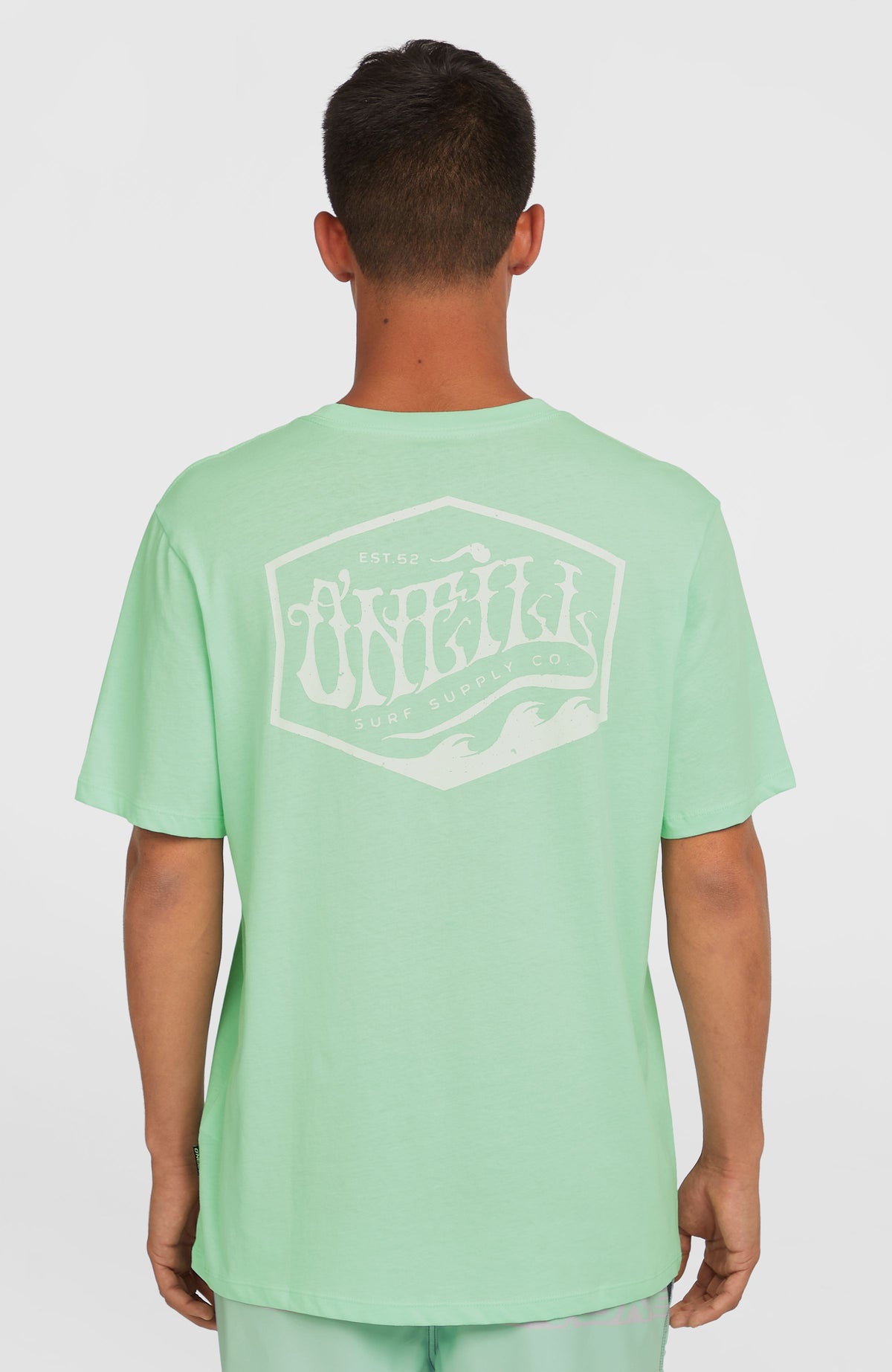 Box Logo T-Shirt für Herren, grün mit weißem Logo-Print auf dem Rücken, Rückansicht am Model