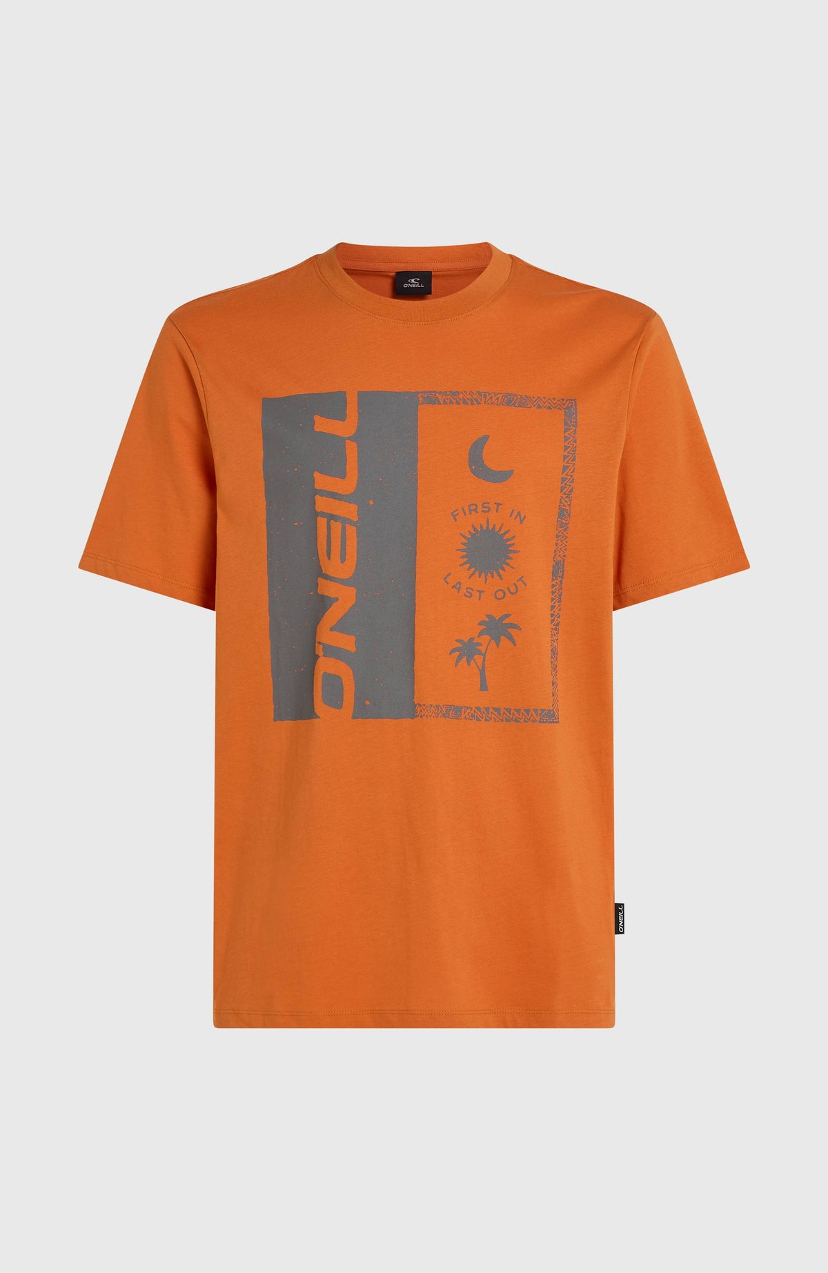 Oranges Front Print T-Shirt für Herren mit Grafik-Print in Grau, freigestellt von vorne