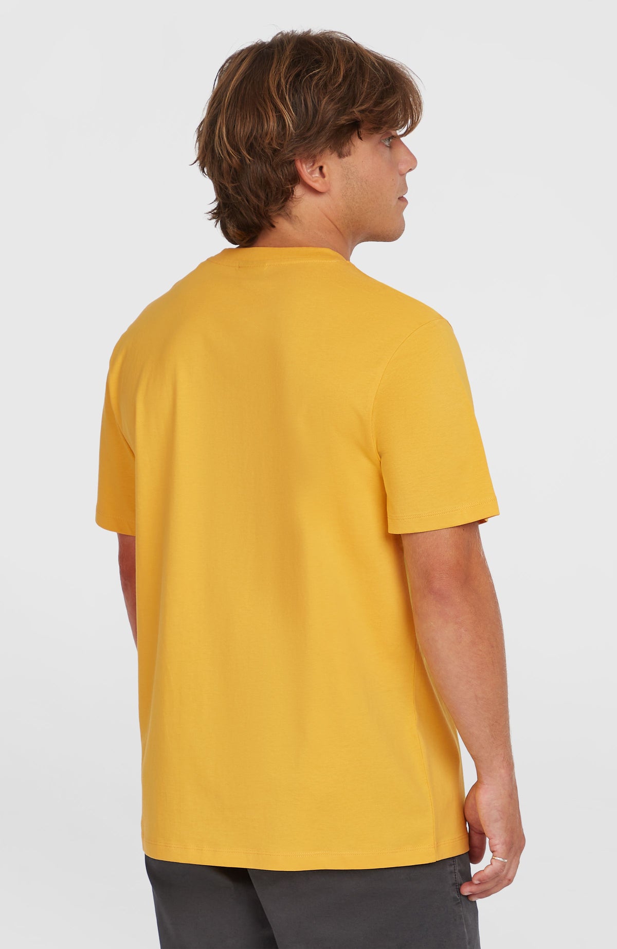 Small Logo T-Shirt für Herren, gelb, Rückansicht, getragen am Model