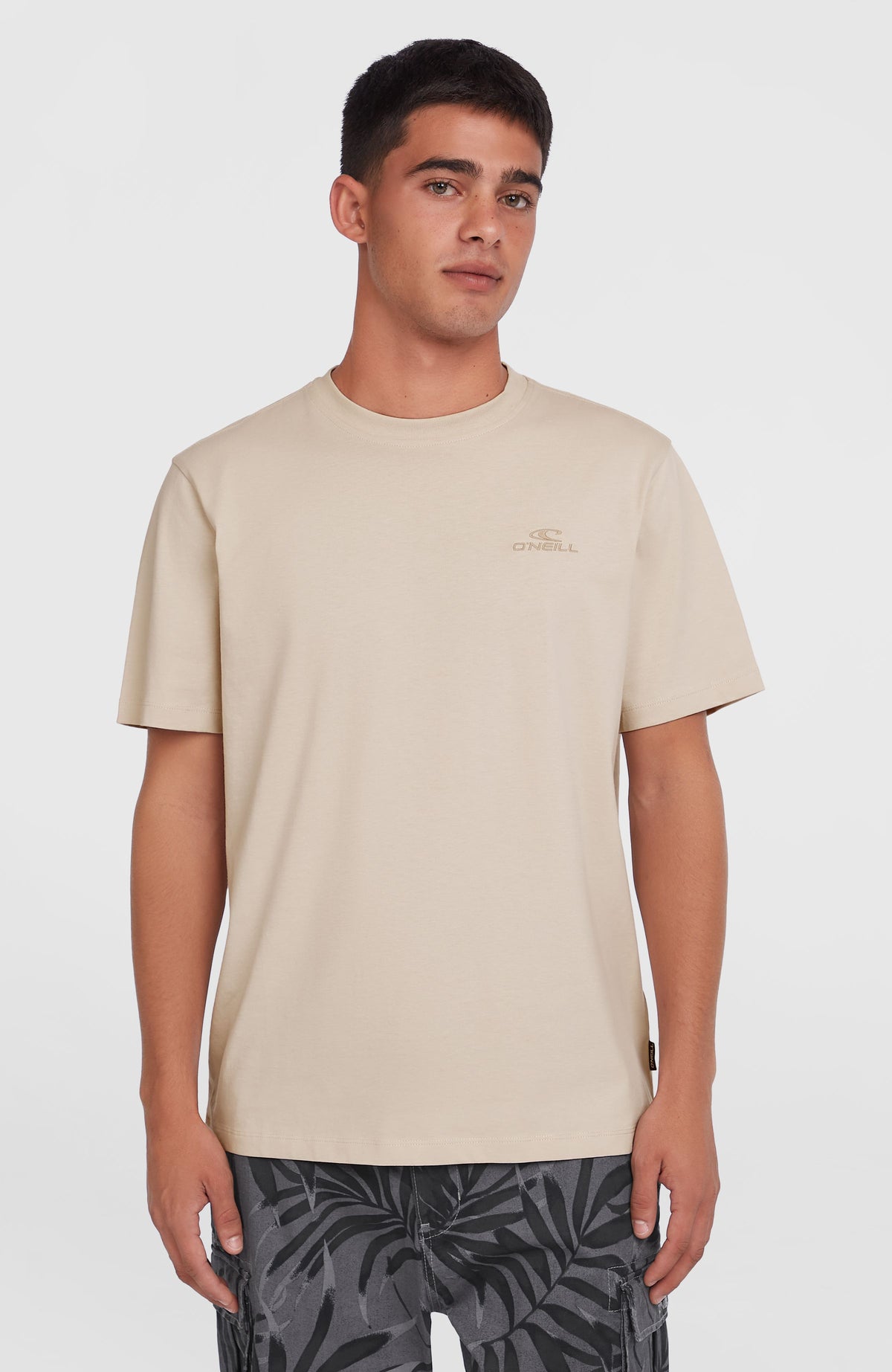 O'Neill Small Logo T-Shirt für Herren, beige, Vorderansicht am Model