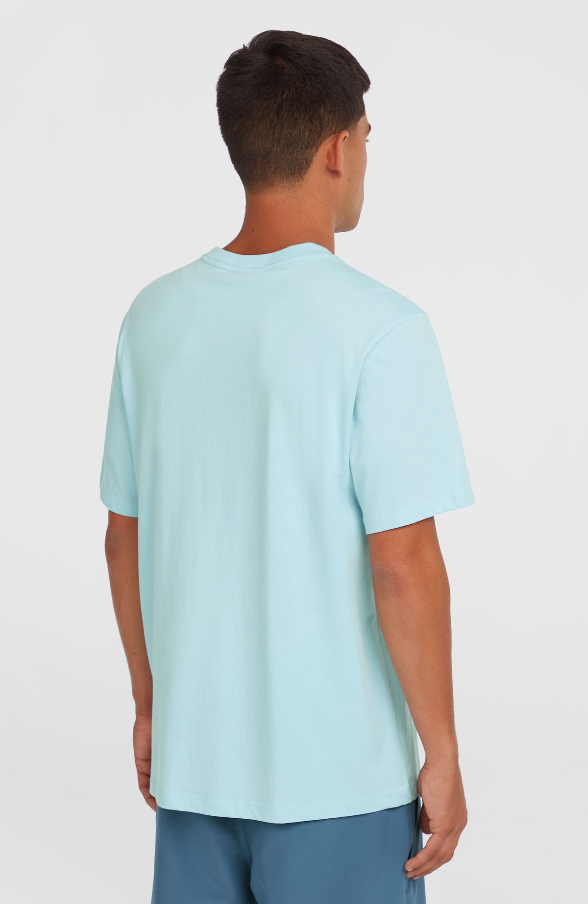 Chest Print T-Shirt für Herren, blau, Rückansicht am Model mit Rundhalsausschnitt und kurzen Ärmeln