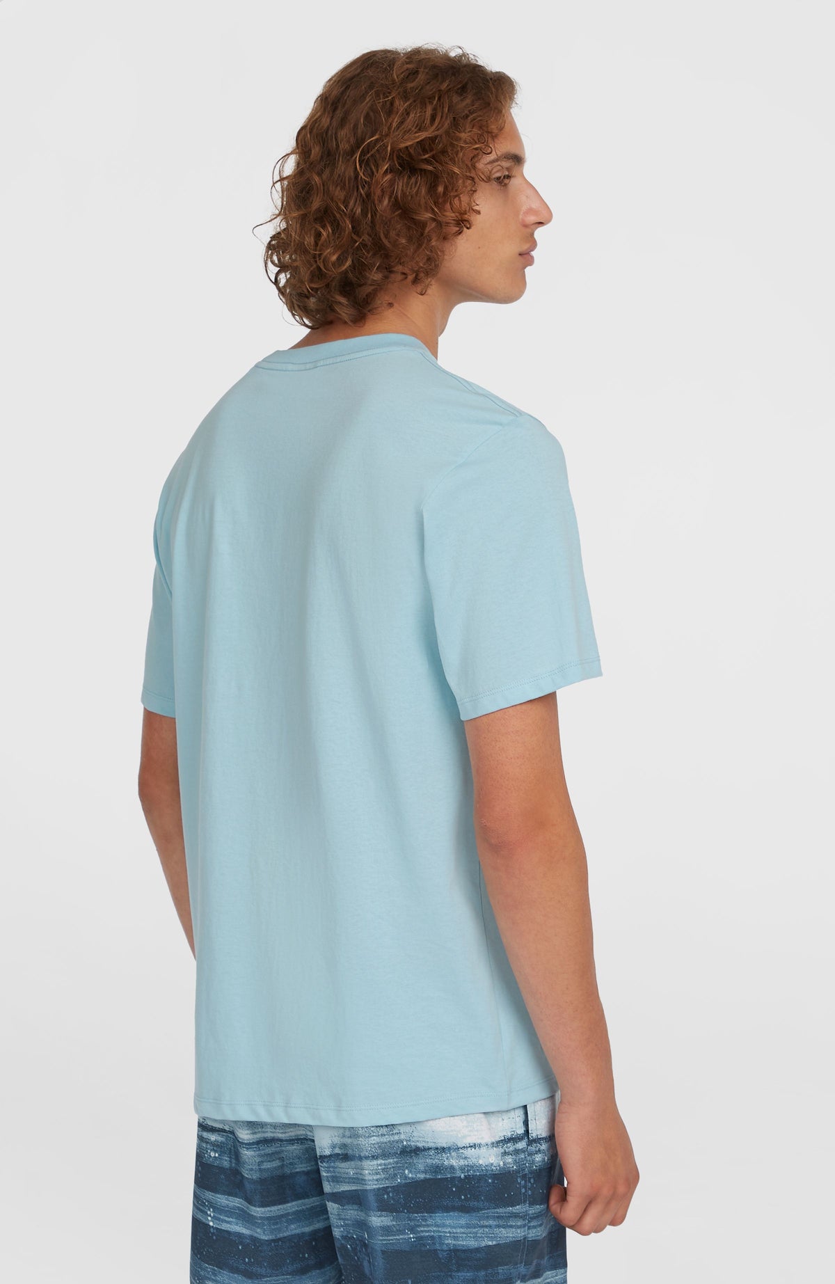 Stripe T-Shirt für Herren, blau, getragen am Model in der Rückansicht mit Rundhalsausschnitt
