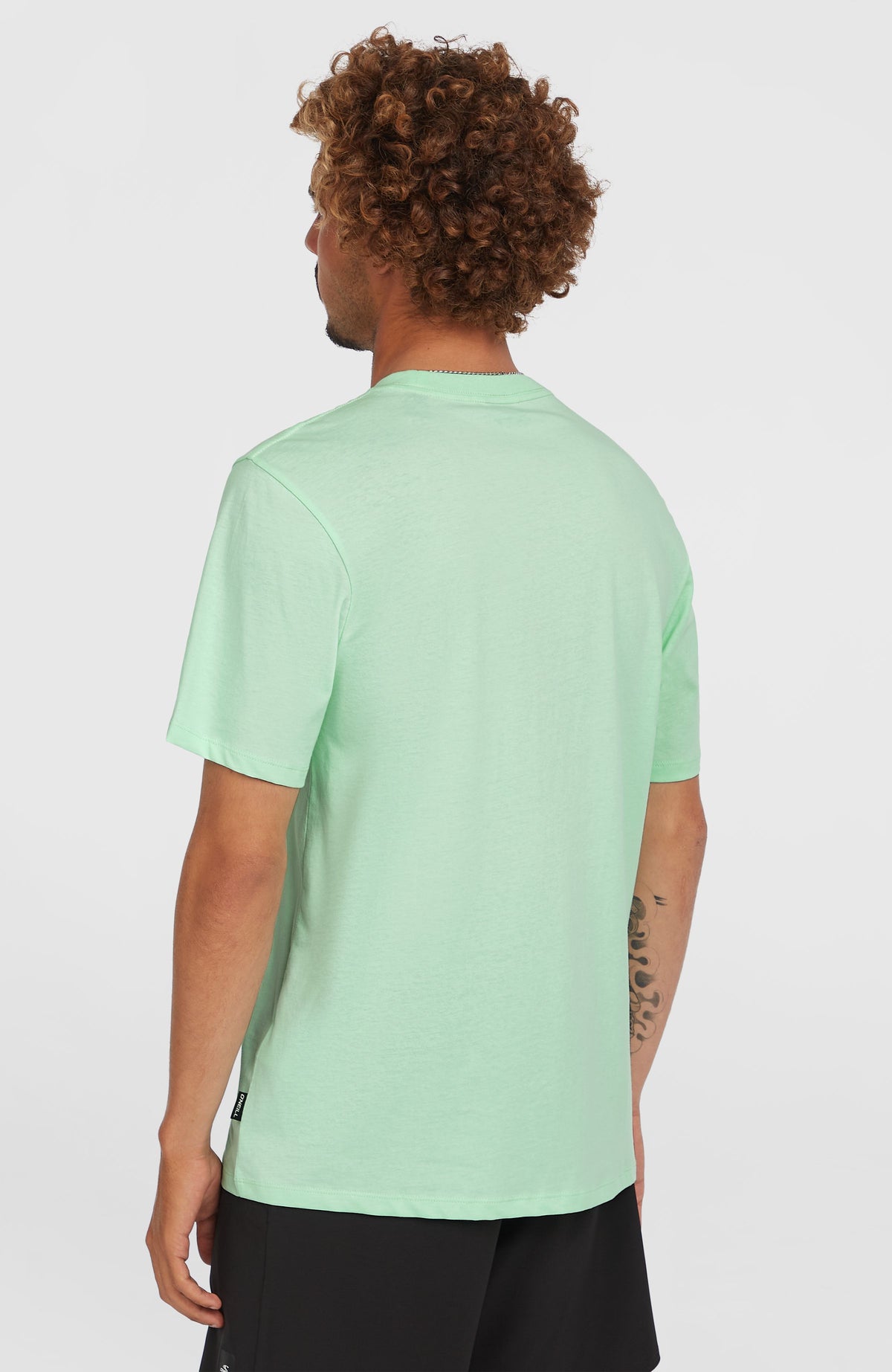 Stripe T-Shirt für Herren, grün, Rückansicht am Model mit kleinem Naht-Label