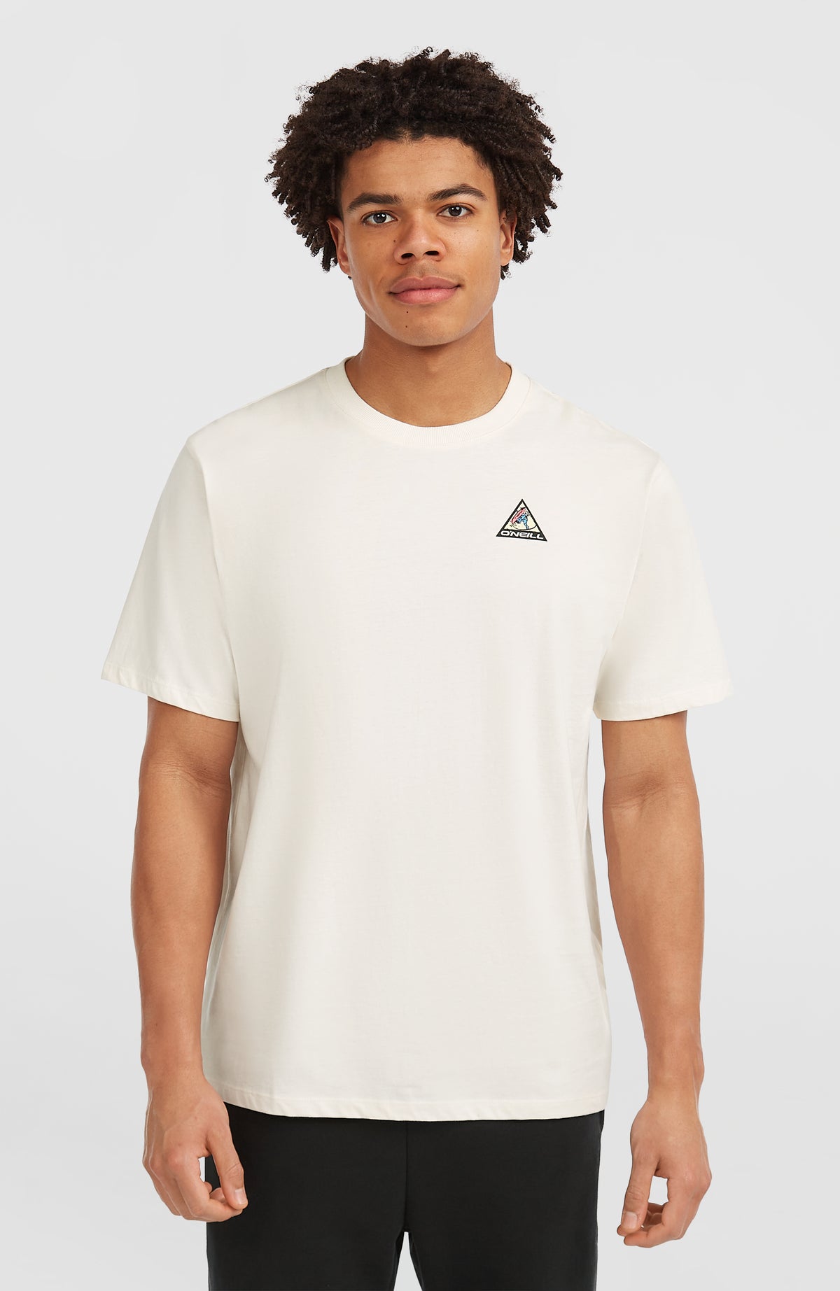 O'Neill FWC'Play Graphic T-Shirt für Herren, weiß mit Grafik-Print in Blau und Schwarz, Vorderansicht am Model