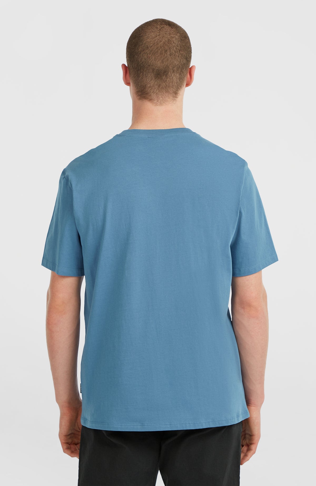 Chest-Print T-Shirt für Herren, blau, Rückansicht am Model