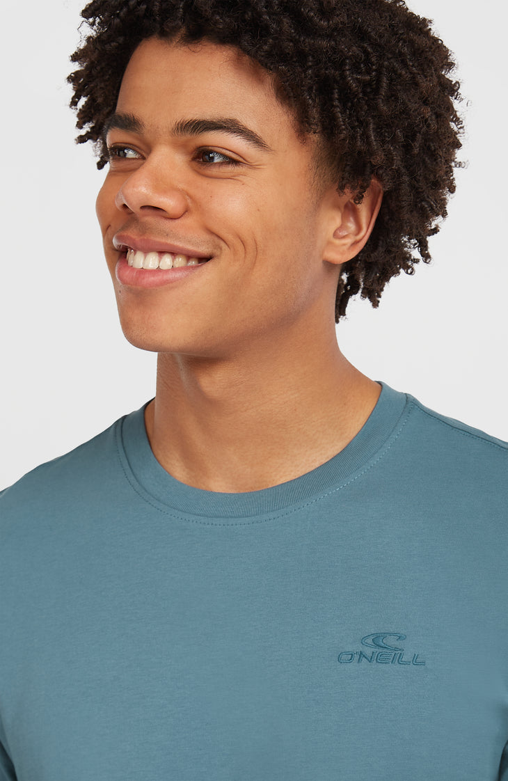 Small Logo T-Shirt | Mozart Blue