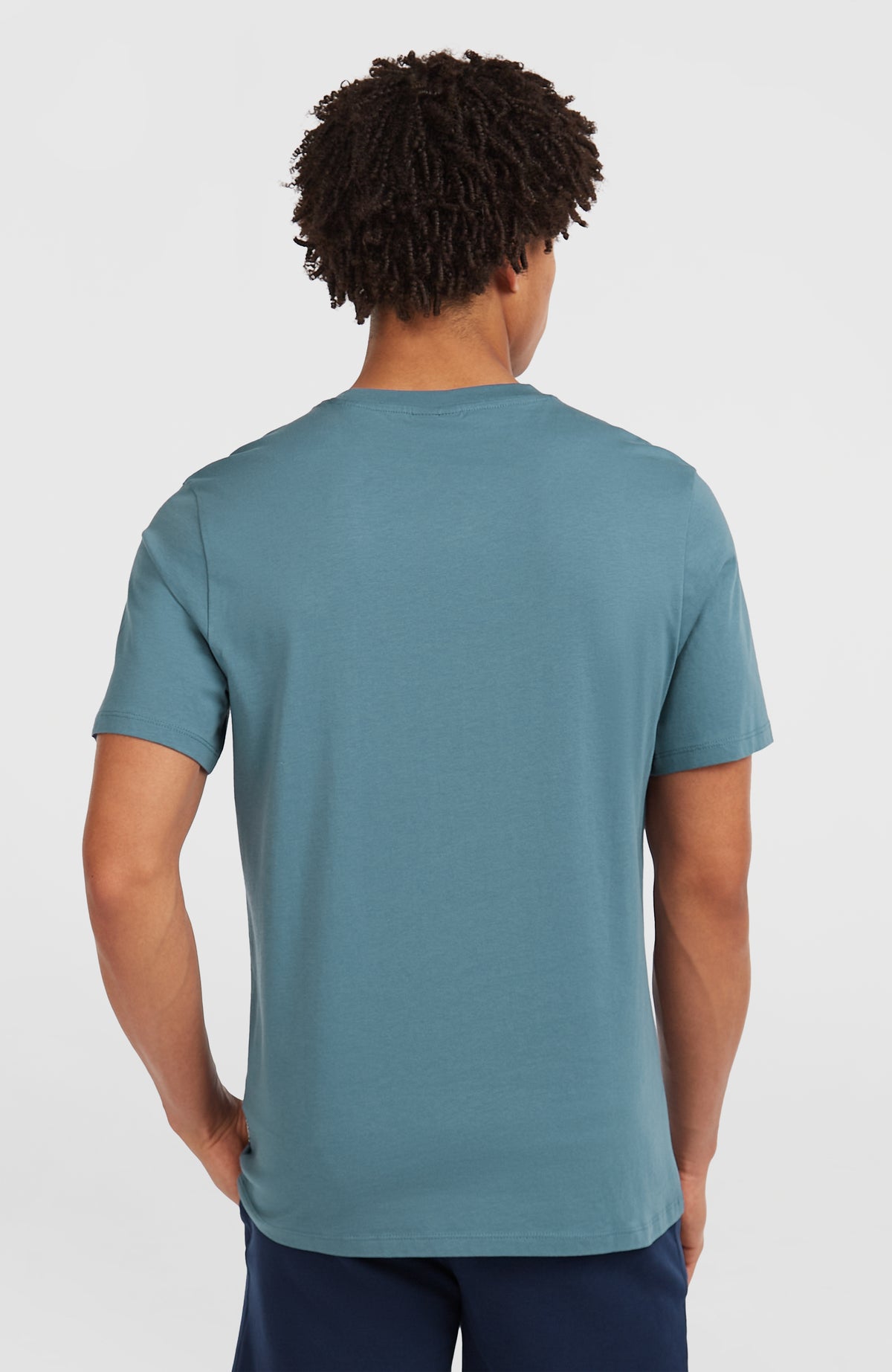 Small Logo T-Shirt für Herren, blau, am Model von hinten