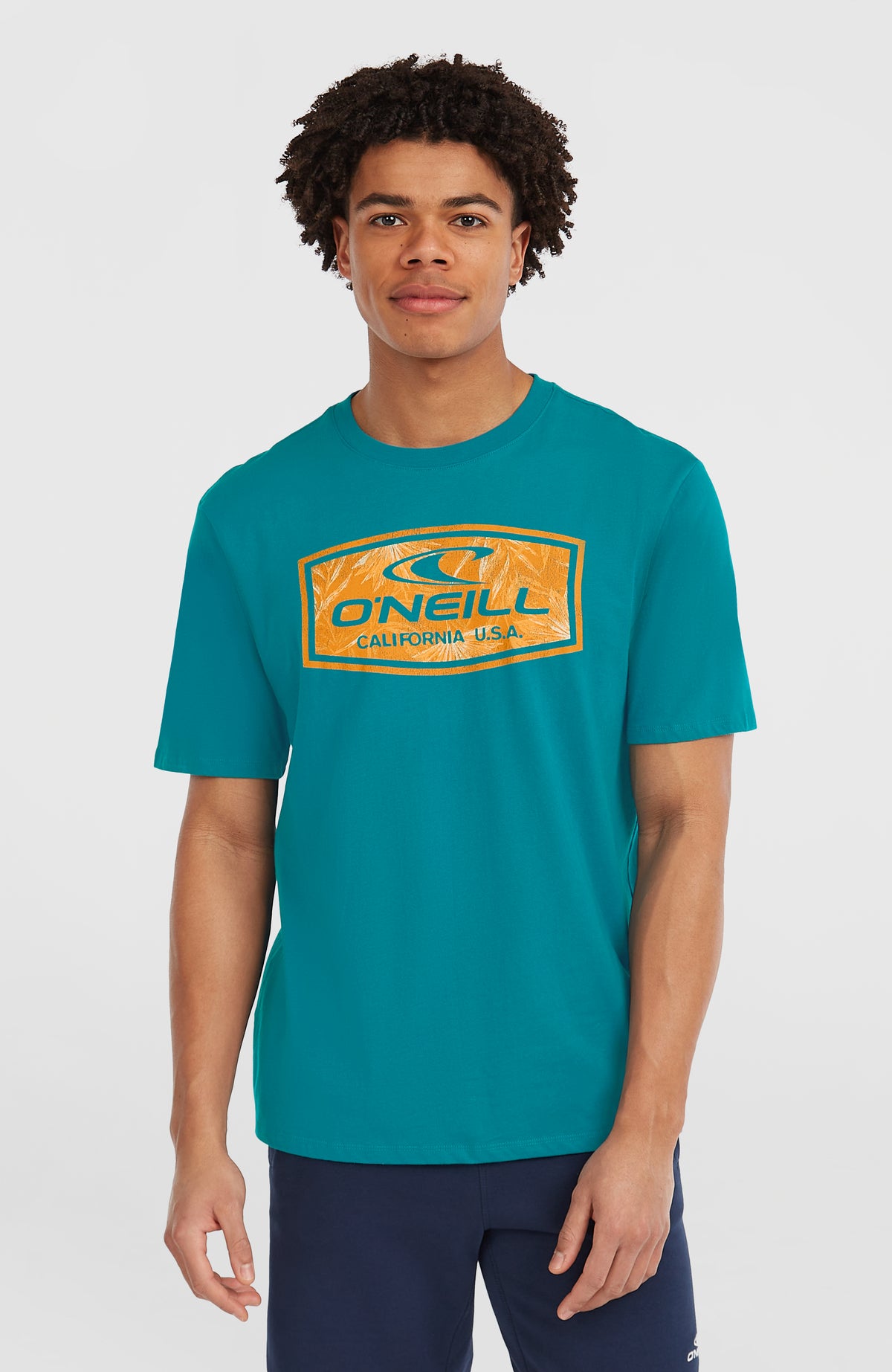 O'Neill Graphic T-Shirt für Herren, blau mit Logo-Print in Orange, Vorderansicht mit Rundhalsausschnitt am Model