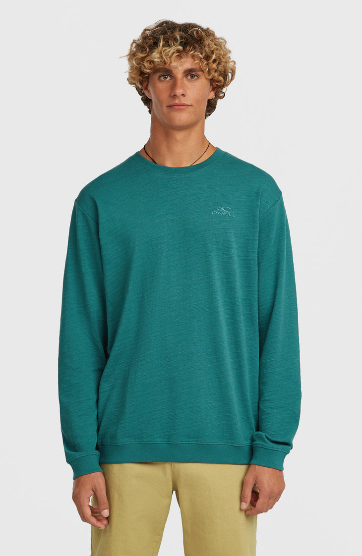 O'Neill Slub Langarmshirt | Botanical Heat