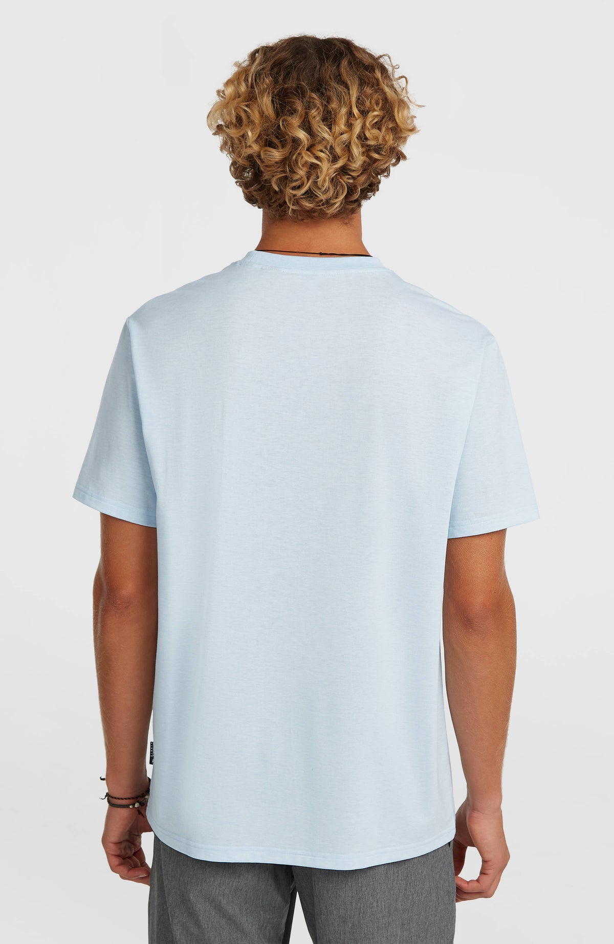 Hybrid Polygiene Graphic T-Shirt für Herren, blau, Rückansicht am Model