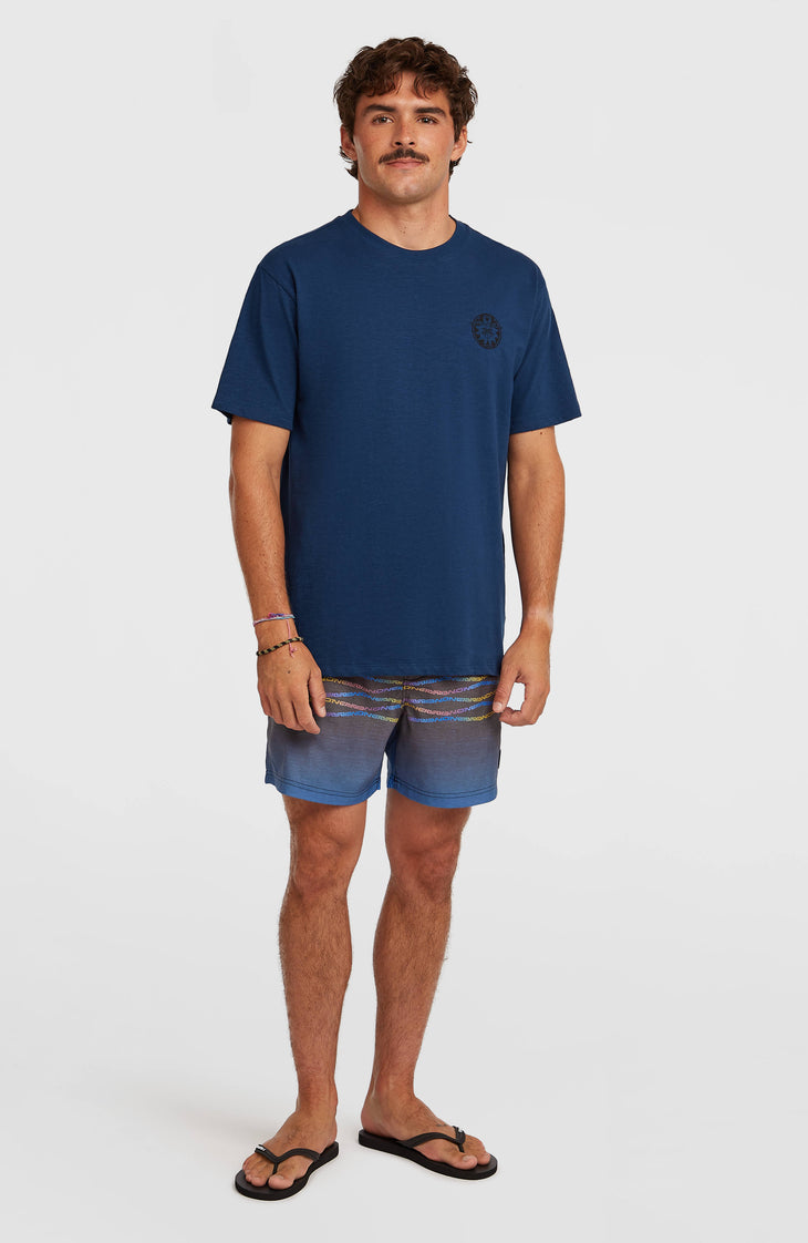 O'Neill Slub Back-Print T-Shirt | English Evening