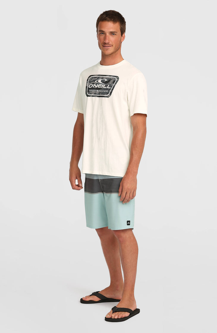 O'Neill Graphic T-Shirt | Snow White 2