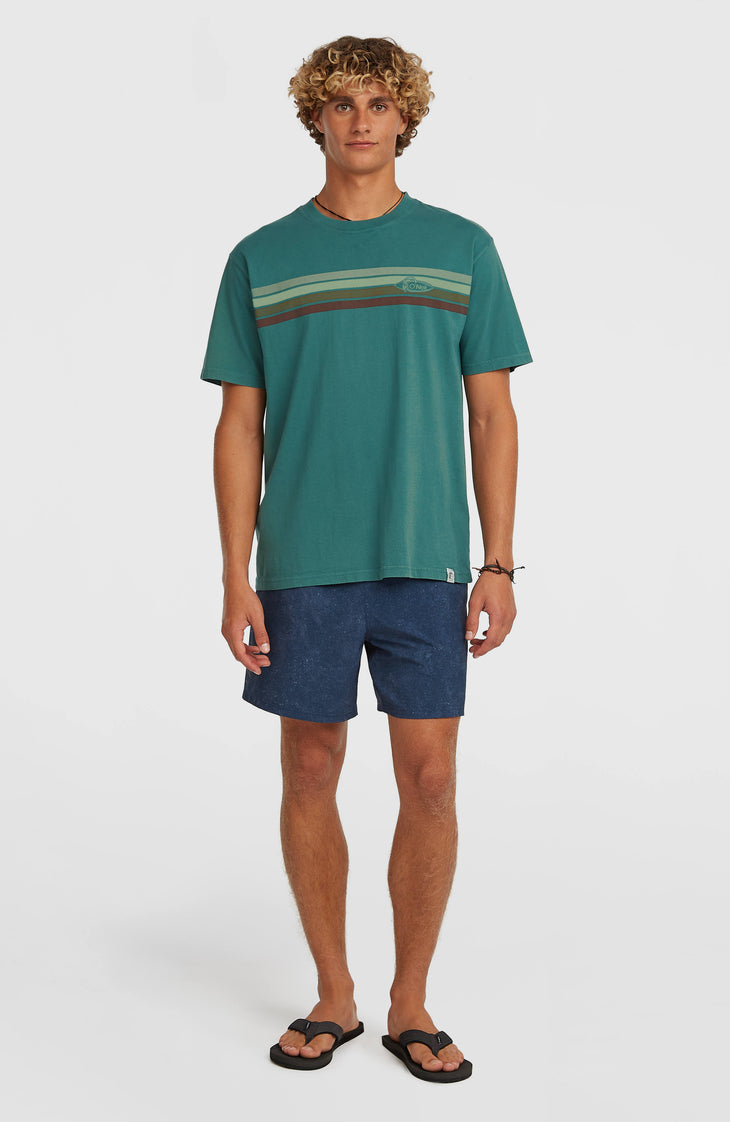 O'Riginals Front-Stripe T-Shirt | Botanical Heat