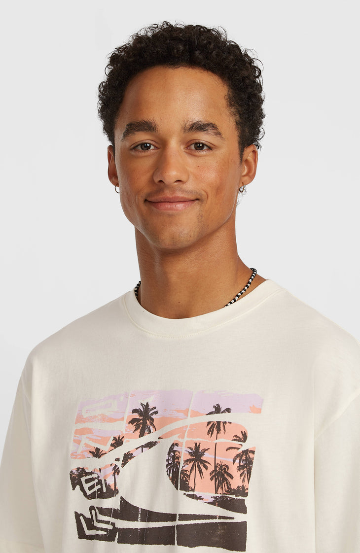 O'Neill Gradient T-Shirt | Snow White