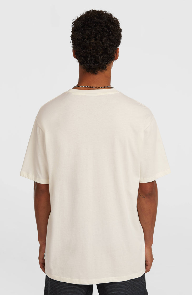 O'Neill Gradient T-Shirt | Snow White
